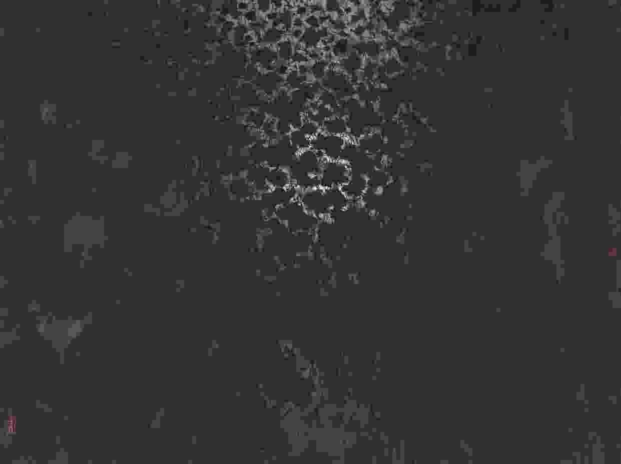 “陆春涛作品观摩展”| 上海中国画院美术馆
